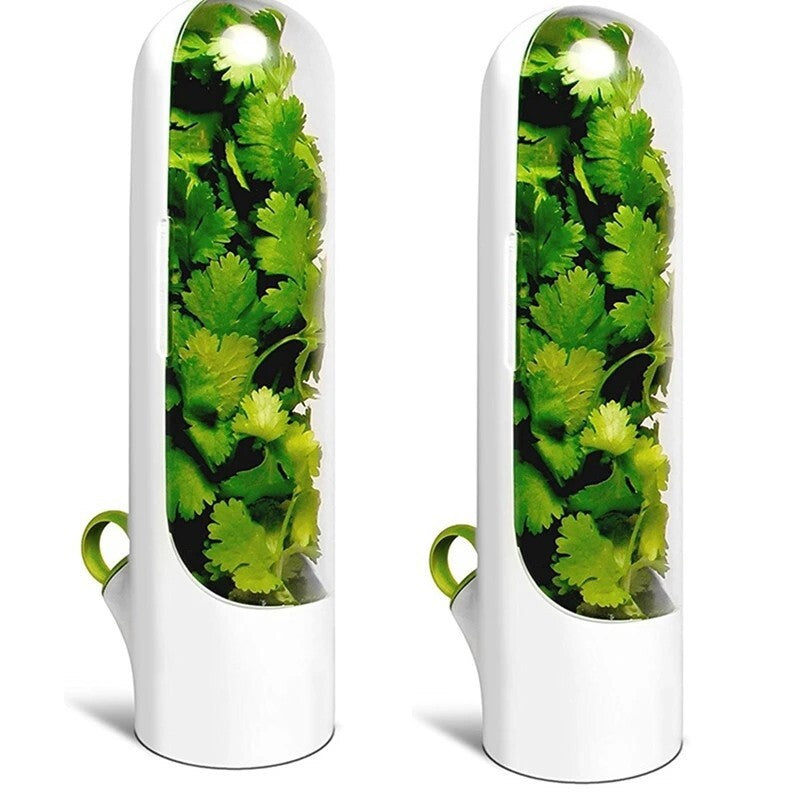 Herb and Vegetable preserving Storage Container