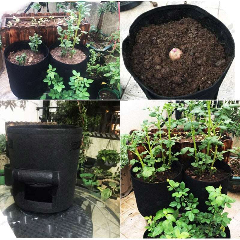 Home Potato growing bags 3 sizes