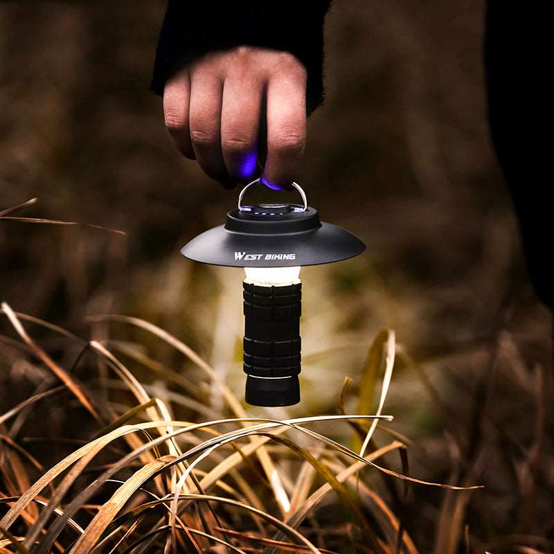 Multipurpose portable light
