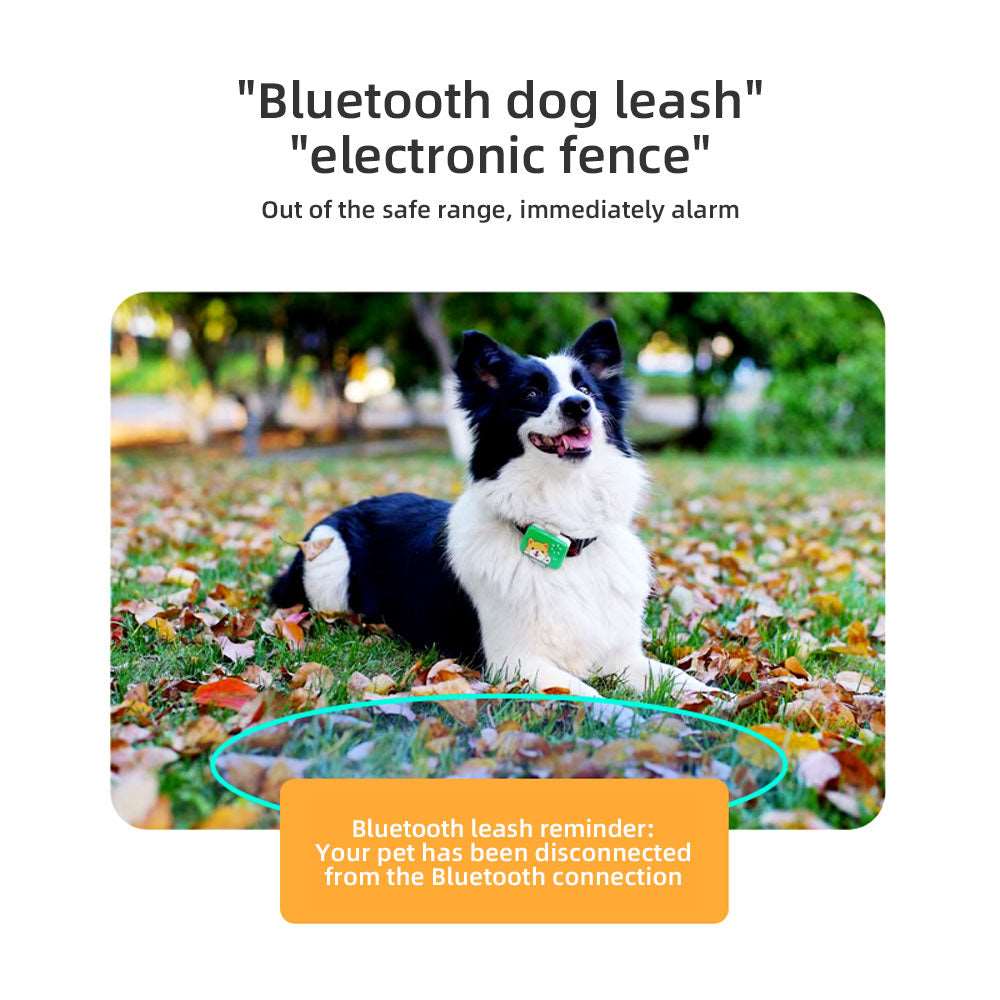 Pet Locator With Electronic Fence Alarm