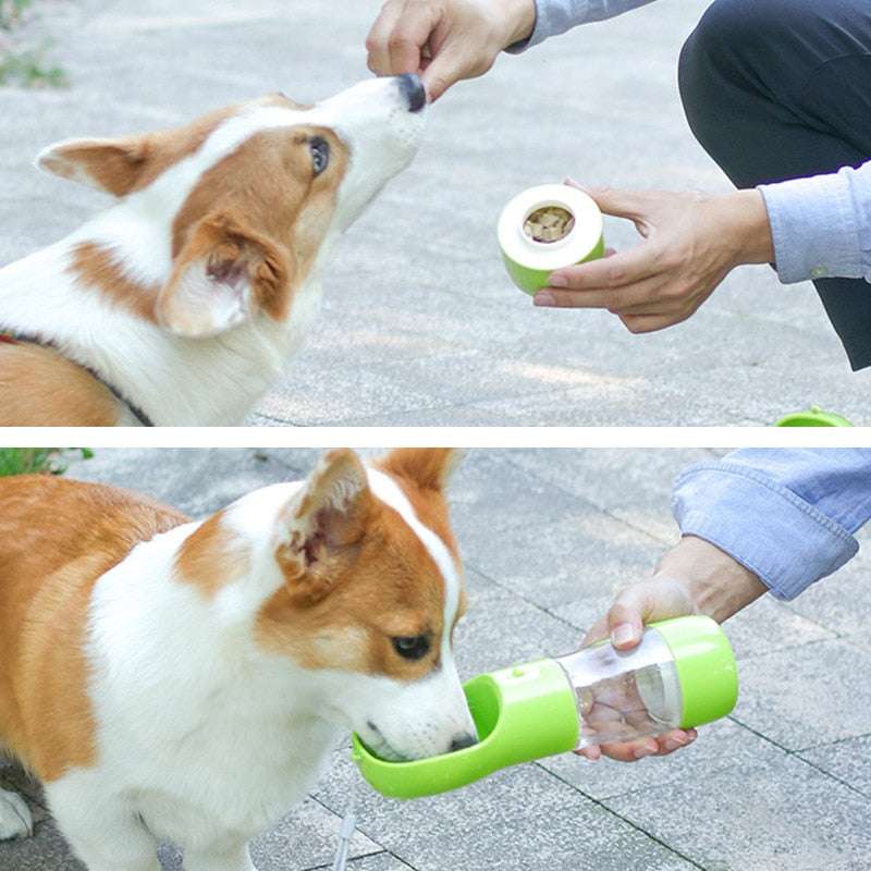 Portable pet water bottle with food storage