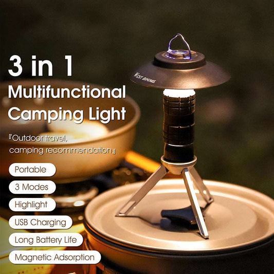 Multipurpose portable light