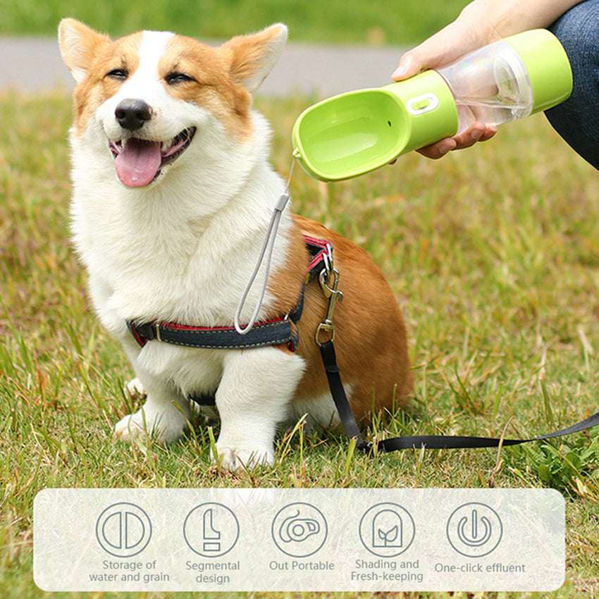 Portable pet water bottle with food storage